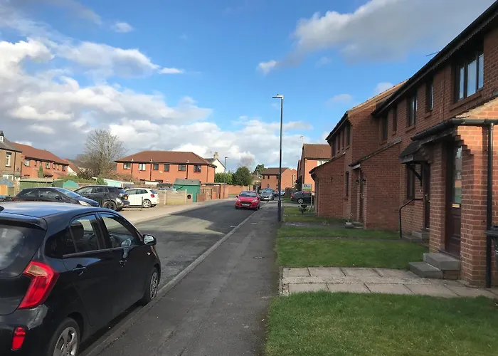 Lavender * サースク